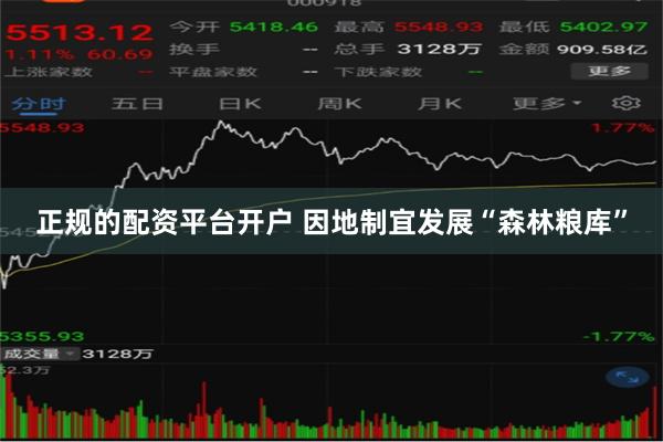 正规的配资平台开户 因地制宜发展“森林粮库”