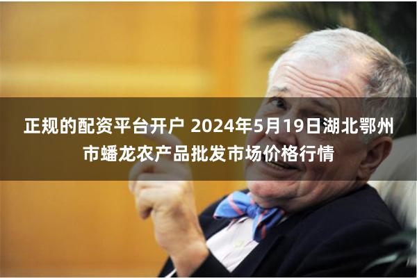 正规的配资平台开户 2024年5月19日湖北鄂州市蟠龙农产品批发市场价格行情