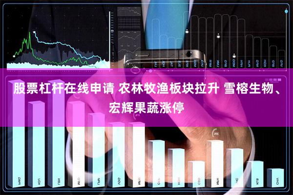 股票杠杆在线申请 农林牧渔板块拉升 雪榕生物、宏辉果蔬涨停