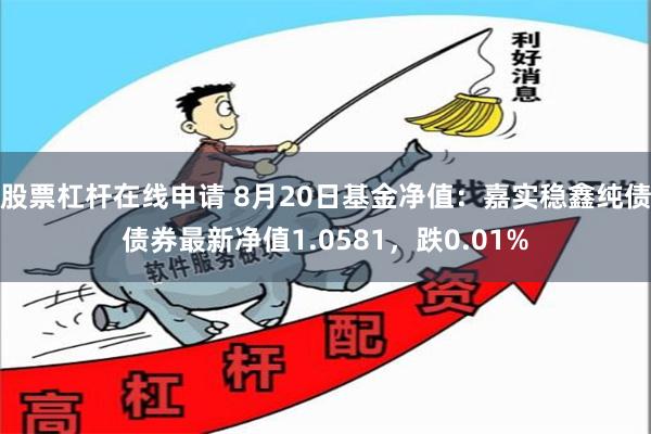 股票杠杆在线申请 8月20日基金净值：嘉实稳鑫纯债债券最新净值1.0581，跌0.01%