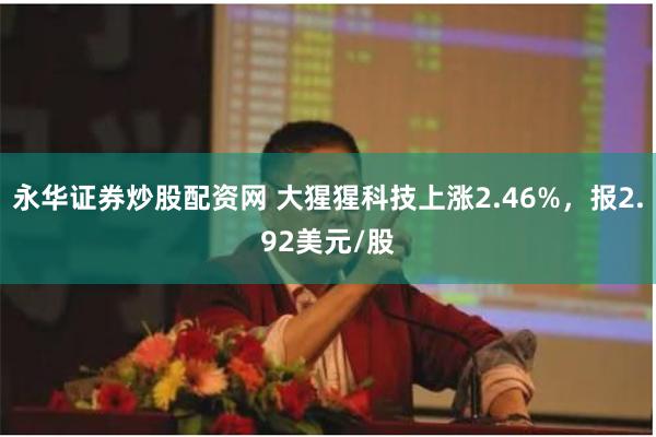 永华证券炒股配资网 大猩猩科技上涨2.46%，报2.92美元/股