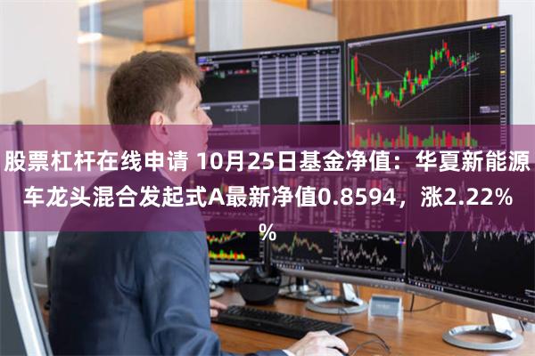 股票杠杆在线申请 10月25日基金净值：华夏新能源车龙头混合发起式A最新净值0.8594，涨2.22%