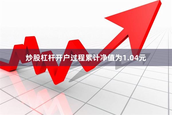 炒股杠杆开户过程累计净值为1.04元